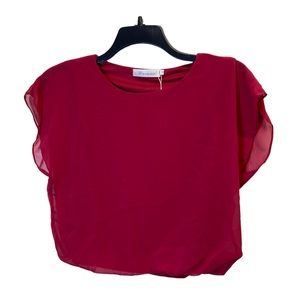 Daimier Maroon Crop Top Size M